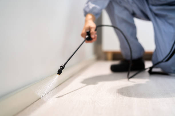 Professional exterminator conducting IPM assessment in Maple Park