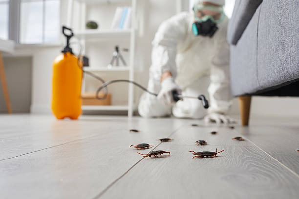Commercial Rodent Management in Maple Park